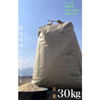 毎月定期便】養老町産 岐阜ハツシモ 30kg 玄米 全6回 | 岐阜県