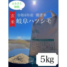 2023年7月発送開始『定期便』養老町産:岐阜ハツシモ　5kg　玄米全3回