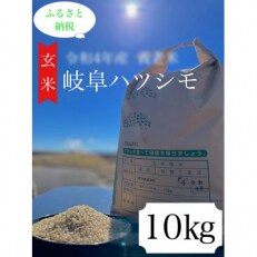 2023年7月発送開始『定期便』養老町産:岐阜ハツシモ　10kg　玄米全3回