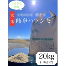 2023年7月発送開始『定期便』養老町産:岐阜ハツシモ　10kg×2袋　合計20kg　玄米全3回