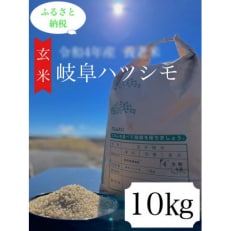 2023年7月発送開始『定期便』養老町産:岐阜ハツシモ　10kg　玄米全6回