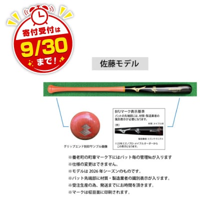 ミズノプロ【佐藤輝明モデル】硬式メイプル木製バット