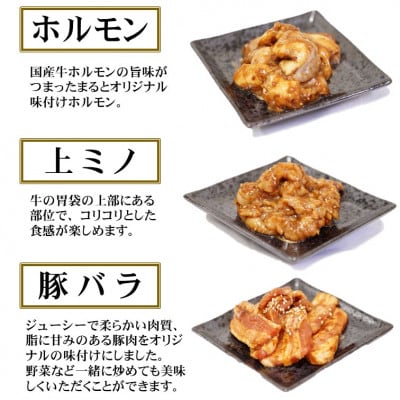 【飛騨牛】焼肉4種B-1セット　赤身肉と味付けホルモンなど　合計1kg