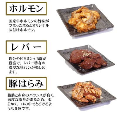 【飛騨牛】焼肉4種B-2セット　赤身肉と味付けホルモンなど　合計1kg