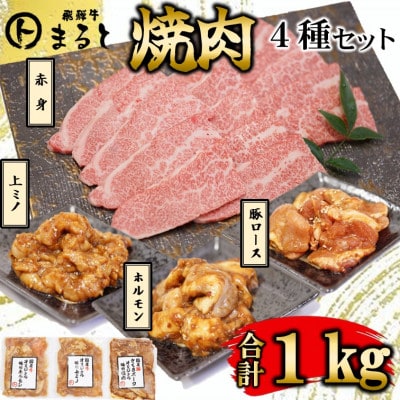 【飛騨牛】焼肉4種B-3セット　赤身肉と味付けホルモンなど　合計1kg