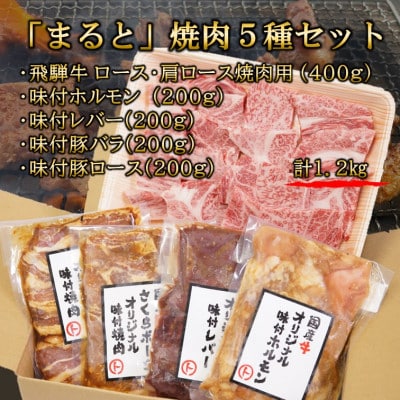 【飛騨牛】焼肉5種セットA-5　ロース・肩ロースと味付けホルモンなど　合計1.2kg