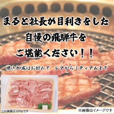 【飛騨牛】ロース・肩ロース焼き肉　500g(牛脂付き)