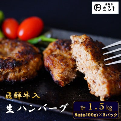 飛騨牛入特製生ハンバーグ　100g×15個