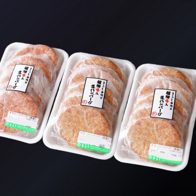 飛騨牛入特製生ハンバーグ　100g×15個