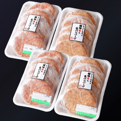 飛騨牛入特製生ハンバーグ　100g×20個