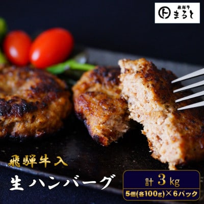 飛騨牛入特製生ハンバーグ　100g×30個