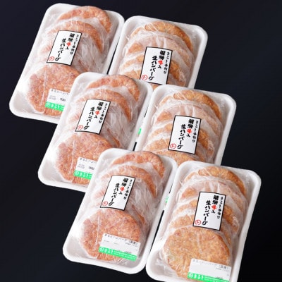 飛騨牛入特製生ハンバーグ　100g×30個