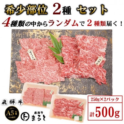 【飛騨牛】お勧め希少部位2種セット　250g×2