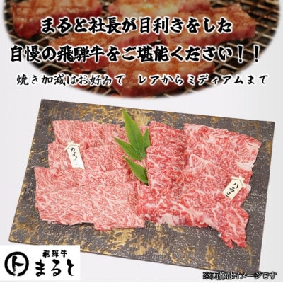 【飛騨牛】お勧め希少部位2種セット　250g×2