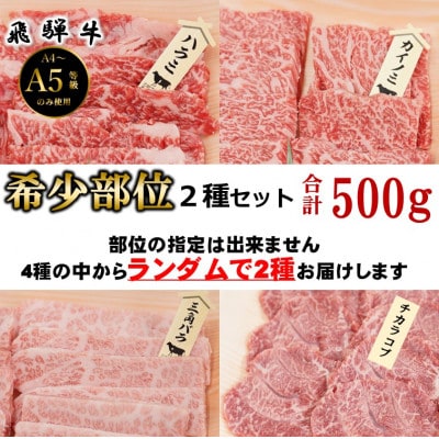 【飛騨牛】お勧め希少部位2種セット　250g×2