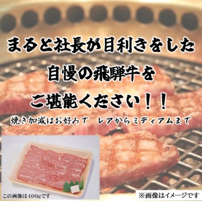 【飛騨牛】赤身　焼肉用　500g入り