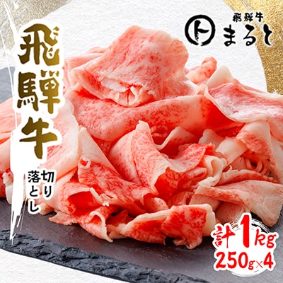 【飛騨牛】切り落とし250g×4　合計1kg