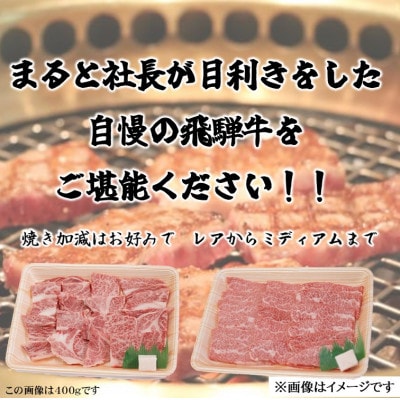 【飛騨牛】焼き肉2種食べ比べセット各400入り　合計800g