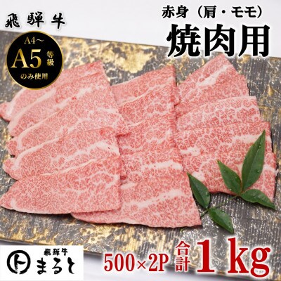 【飛騨牛】赤身焼肉用　500g×2パック　(合計1kg)