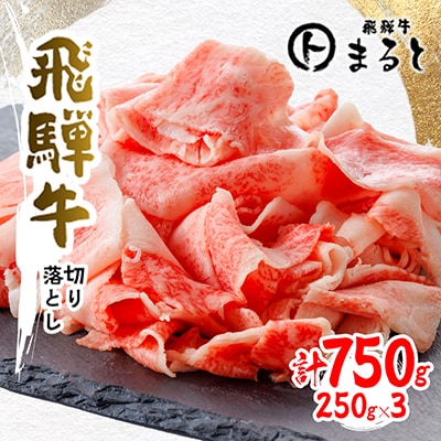 【飛騨牛】切り落とし250g×3　合計750g