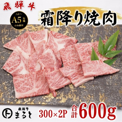 飛騨牛霜降り焼き肉 300g×2(合計600g)