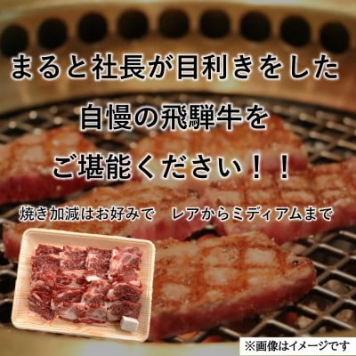 【飛騨牛】カルビ焼肉用 計300g　黒毛和牛