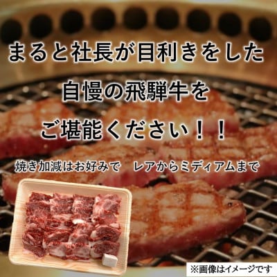 飛騨牛カルビ焼肉用500g