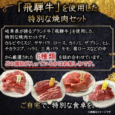 飛騨牛厳選焼肉6種詰め合わせ計600g