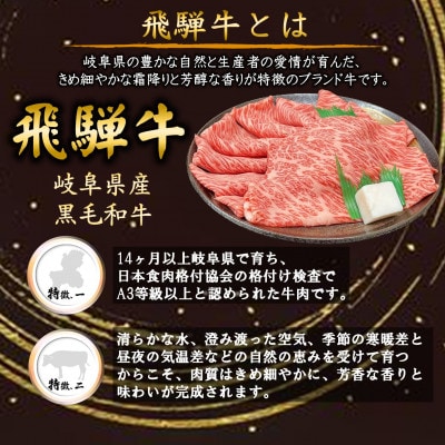 【飛騨牛】ヒレステーキ 計200g
