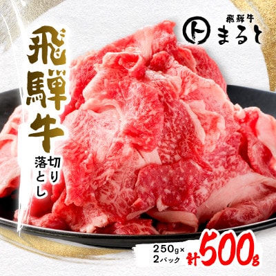 【毎月定期便】飛騨牛　切り落とし250g×2パック　すきやき・しゃぶしゃぶ・牛丼など全6回