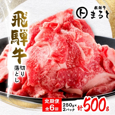 【毎月定期便】飛騨牛　切り落とし250g×2パック　すきやき・しゃぶしゃぶ・牛丼など全6回