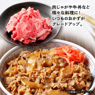 【毎月定期便】飛騨牛　切り落とし250g×2パック　すきやき・しゃぶしゃぶ・牛丼など全6回