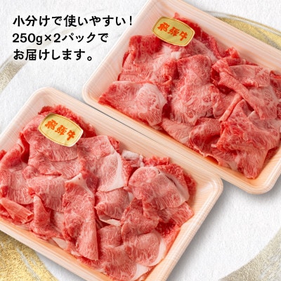 【毎月定期便】飛騨牛　切り落とし250g×2パック　すきやき・しゃぶしゃぶ・牛丼など全6回
