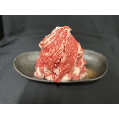 【毎月定期便】飛騨牛切り落とし250g×2p　すきやき・しゃぶしゃぶ・牛丼など全3回