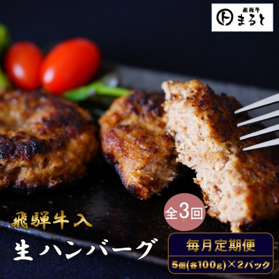 【毎月定期便】【3か月定期便】飛騨牛入り特製生ハンバーグ　100g×10個全3回