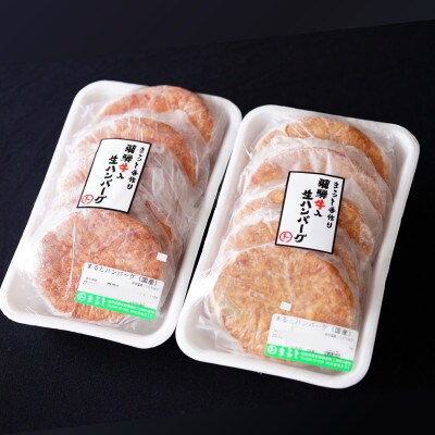 【毎月定期便】【3か月定期便】飛騨牛入り特製生ハンバーグ　100g×10個全3回