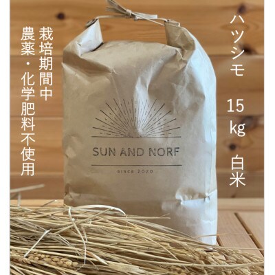 【令和7年産】初霜(源種)　白米15kg　(栽培期間中農薬・化学肥料不使用)