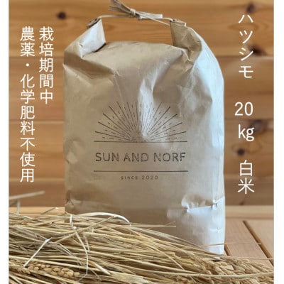 【令和7年産】初霜(源種)　白米20kg　(栽培期間中農薬・化学肥料不使用)