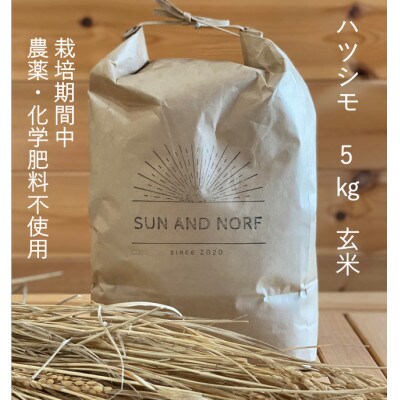 【令和7年産】初霜(源種)　玄米5kg　(栽培期間中農薬・化学肥料不使用)