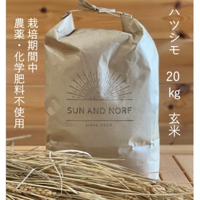 【令和7年産】初霜(源種)　玄米20kg　(栽培期間中農薬・化学肥料不使用)