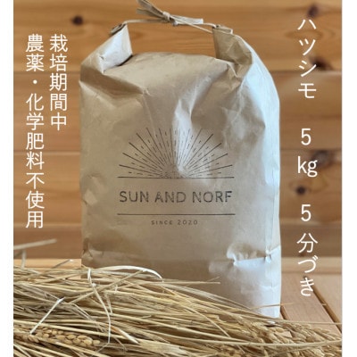 【令和7年産】初霜(源種)5分づき5kg　(栽培期間中農薬・化学肥料不使用)