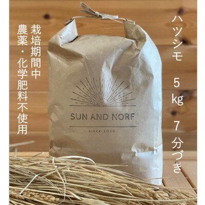 【令和7年産】初霜(源種)　7分づき5kg　(栽培期間中農薬・化学肥料不使用)