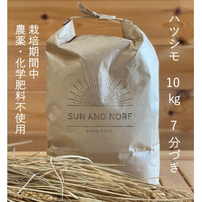 【令和7年産】初霜(源種)7分づき10kg　(栽培期間中農薬・化学肥料不使用)