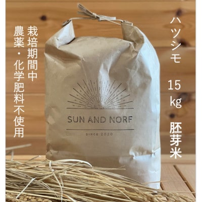 【令和7年産】初霜(源種)胚芽米15kg　(栽培期間中農薬・化学肥料不使用)