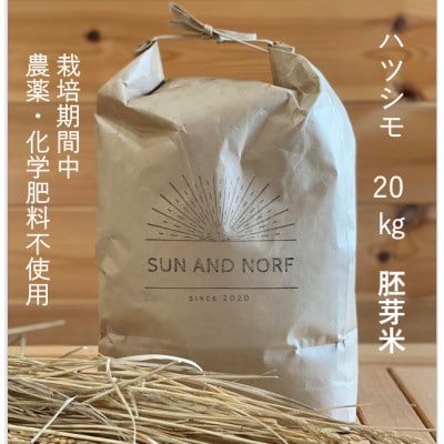【令和7年産】初霜(源種)胚芽米20kg　(栽培期間中農薬・化学肥料不使用)