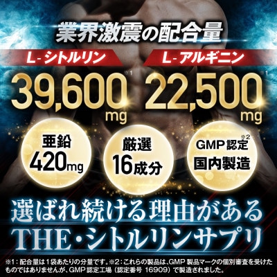 シトルリンサプリメント アルギニン 亜鉛 マカ配合 Mr.GINO ソルエナジー 6袋(6ヶ月分)