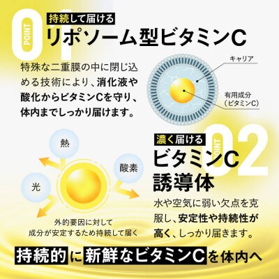 【毎月定期便】ビタクリアC リポソームビタミンC配合 ビタミンC1,000mg 180日分全4回