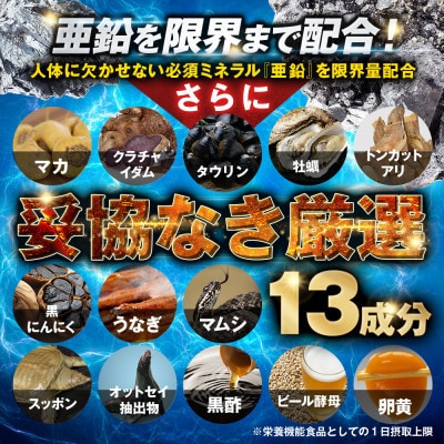 【毎月定期便】シトルリンサプリアルギニン亜鉛マカ配合Mr.GINOソルエナジー90日540粒全4回
