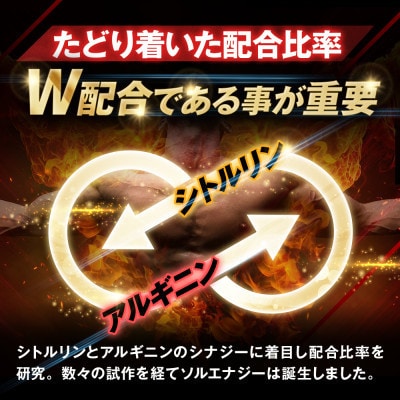 【毎月定期便】シトルリンサプリアルギニン亜鉛マカ配合Mr.GINOソルエナジー180日6か月分全4回