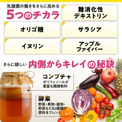 【毎月定期便】乳酸菌サプリメントナノ型乳酸菌10兆個&ビフィズス菌配合菌活すっきり90日90粒全4回